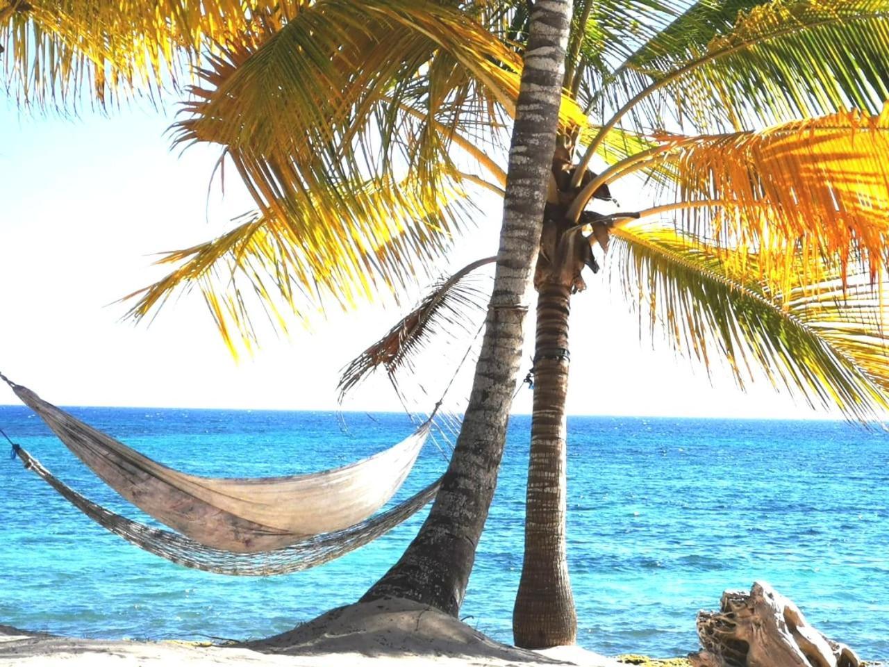 Saona Beach House - Bed And Breakfast Mano Juan Bagian luar foto