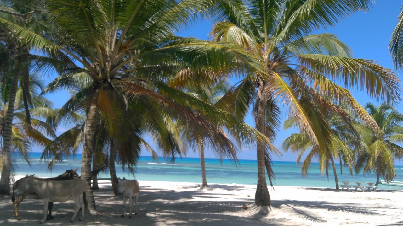 Saona Beach House - Bed And Breakfast Mano Juan Bagian luar foto